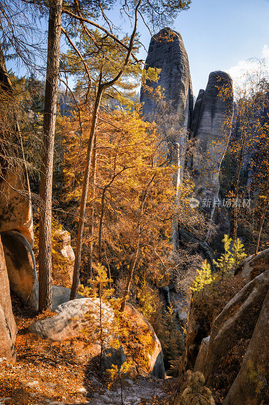 国家公园Adrspach-Teplice Rocktown，捷克共和国